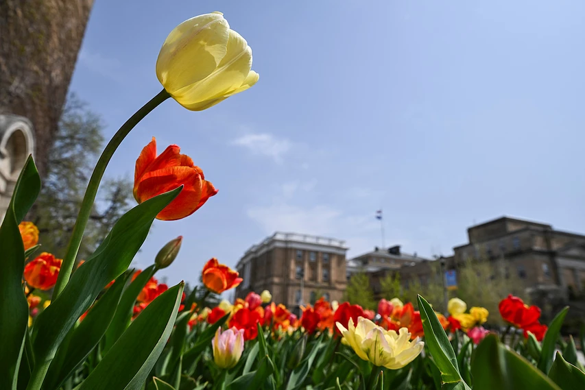 Logo for Badger Family Spring Visit Registration 2026